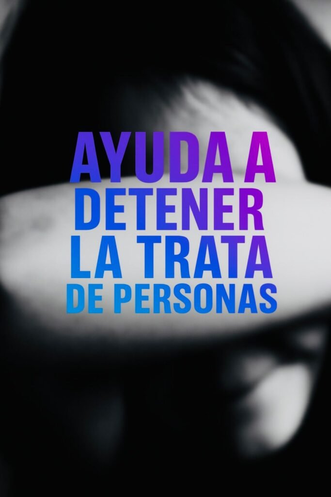 whatsapp image 2025 11 25 at 11.58.22 am2